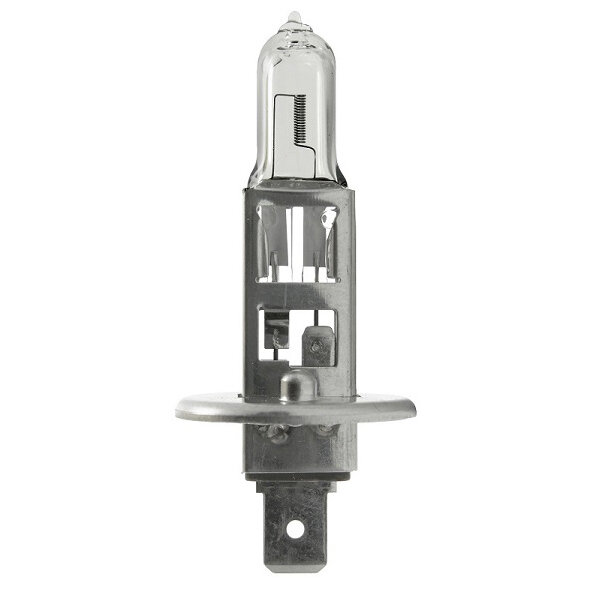 Menbaa Halogenlampen, P14,5s, 12 V 55 W