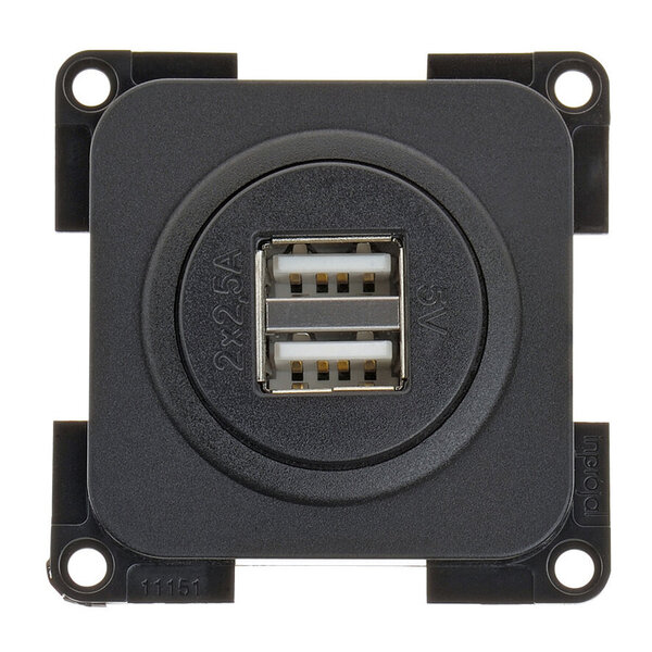 USB-Doppelladesteckdose, schwarz