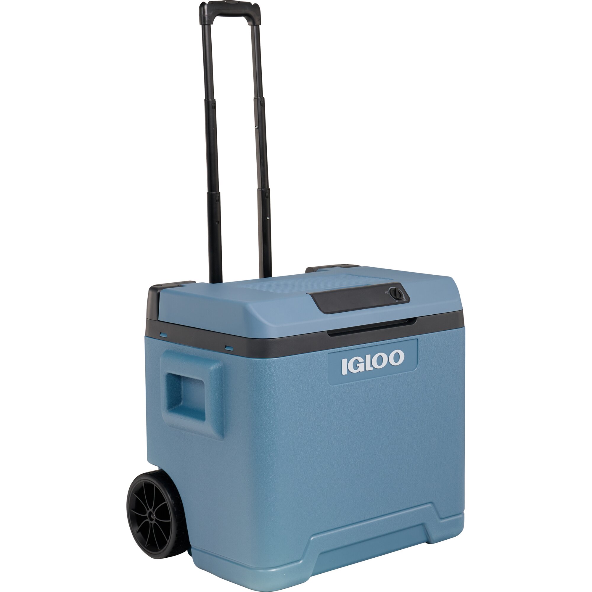 Igloo Igloo IE 42, 12 / 230 Volt
