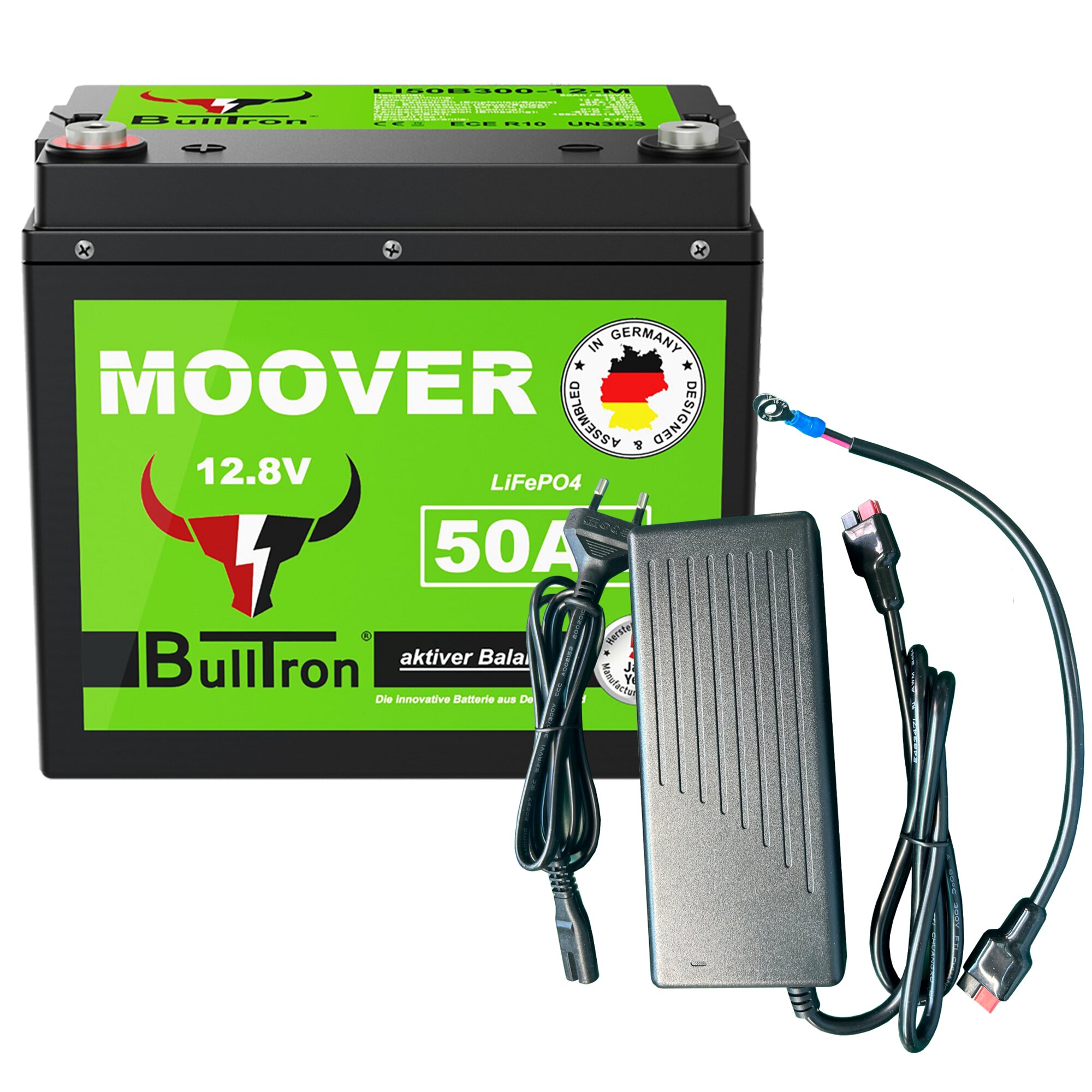 BullTron Lithium Batterie mit Ladegerät 10A