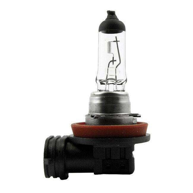Menbaa Halogenlampen, PGJ19-2, 12 V 55 W