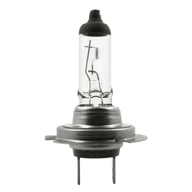 Menbaa Halogenlampen, PX26d, 12 V 55 W